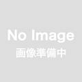 販売終了アウトレット品