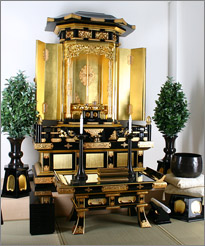金厨子2