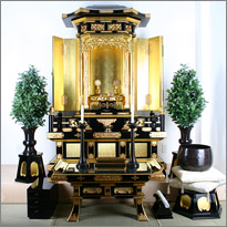 金厨子3
