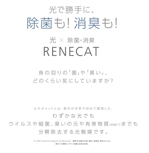 ルネキャット説明1
