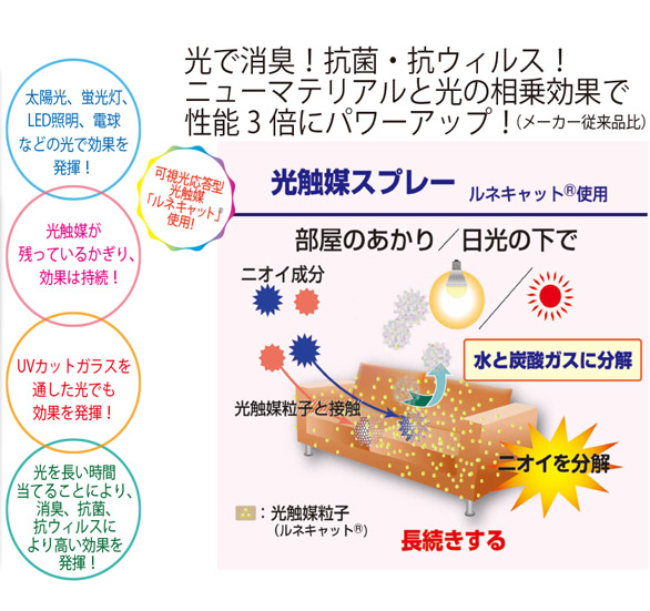 ルネキャット説明2