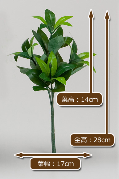 造花しきみSS