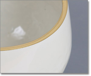 法輪パールアイボリーの拡大1